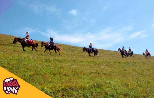 յելլ էքստրիմ պարկ էքստրեմալ զվարճանքների զբոսայգի парк экстремальных развлечений елл экстрим парк yell extreme park extreme amusement park