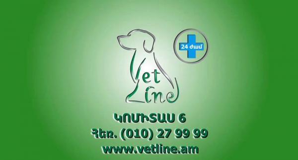 վետլայն անասնաբուժական կլինիկա ветеринарная клиника ветлайн vetline veterinary clinic