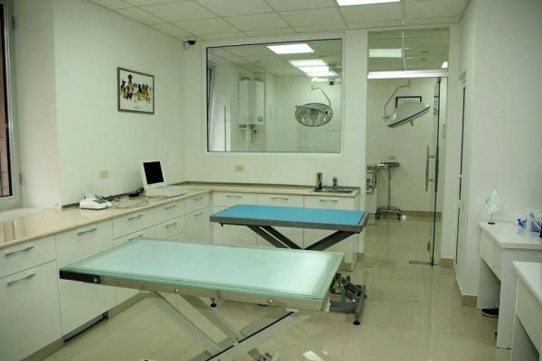 վետլայն անասնաբուժական կլինիկա ветеринарная клиника ветлайн vetline veterinary clinic