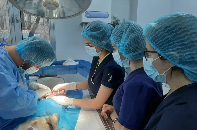 վիրահատություն