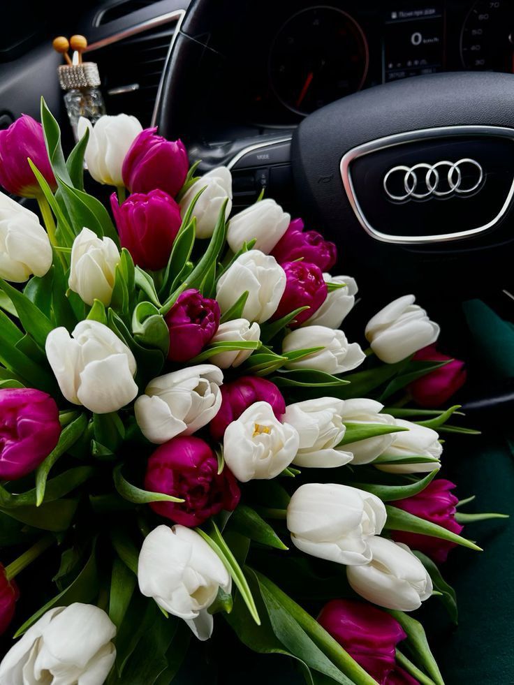 cocofiori կակաչներ