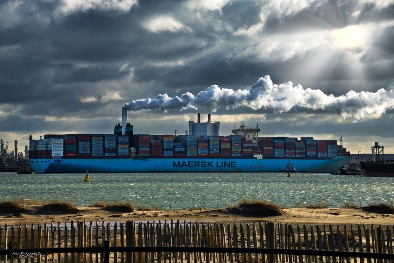 վերտեքս տրանս միջազգային բեռնափոխադրումներ