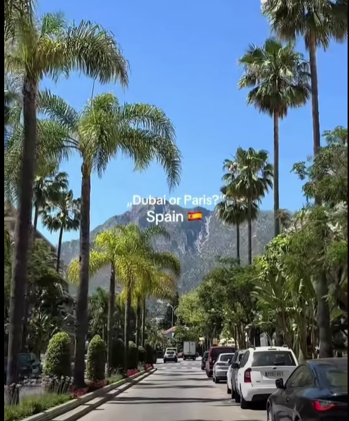 յոհան թրեվլ տուրիստական գործակալություն yohan travel