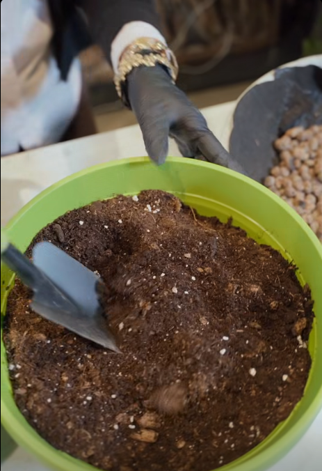 օ գարդենս կանաչապատման համալիր ծառայություններ