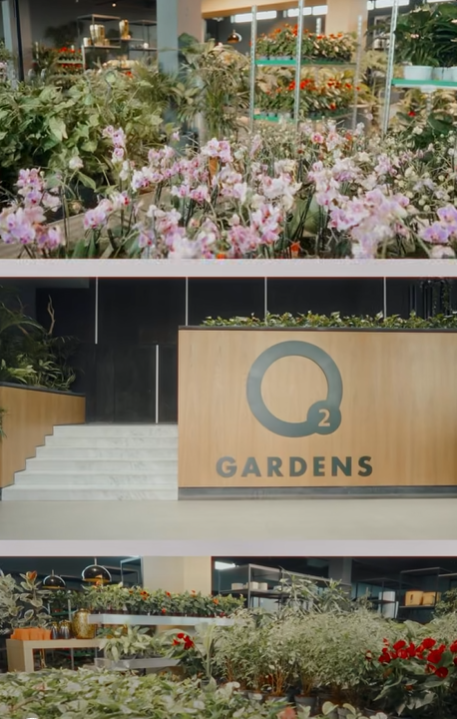 օ գարդենս կանաչապատման համալիր ծառայություններ