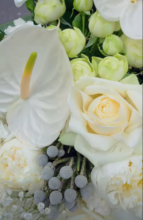 emie rose էմի ռոուզ ծաղկի սրահ եվ ջերմոցային տնտեսություն