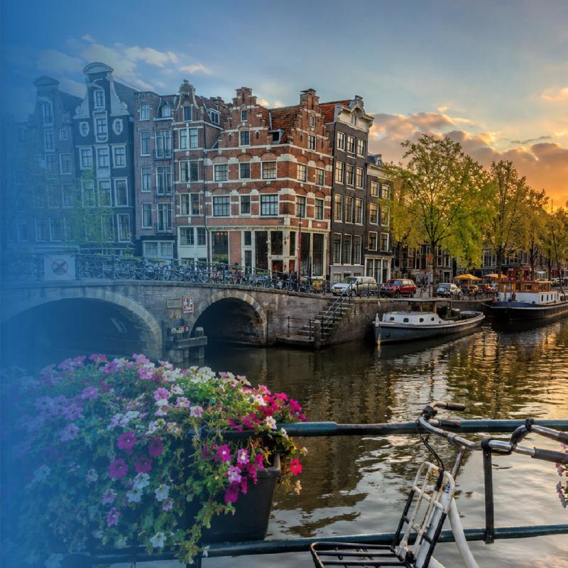 fly tour travel agency