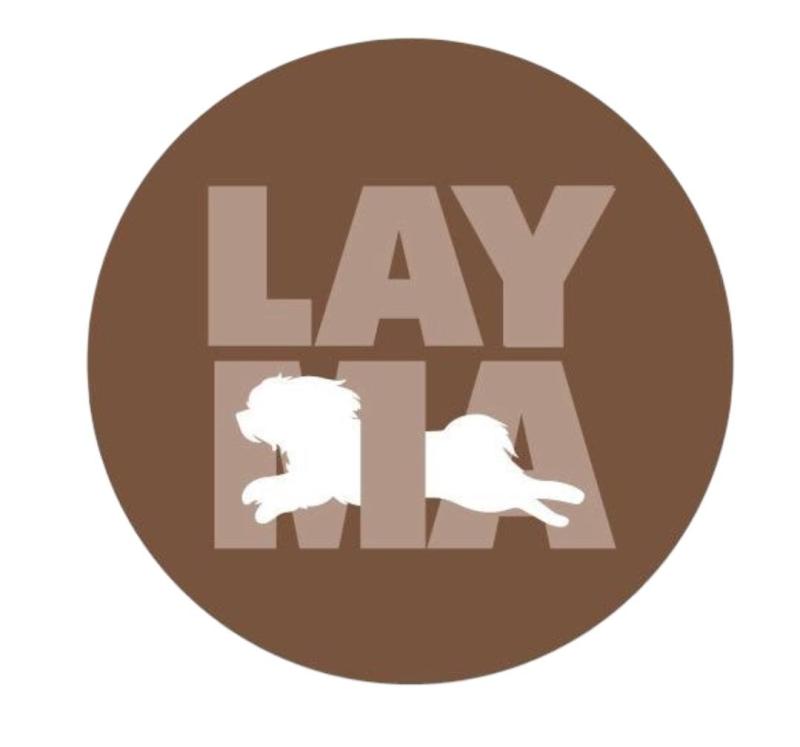layma vet and grooming լայմա վետ ընդ գրումինգ անասնաբուժական կլինիկա